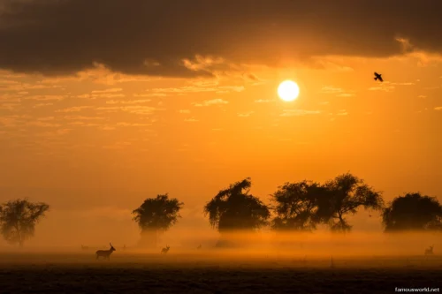 Gorongosa National Park 10