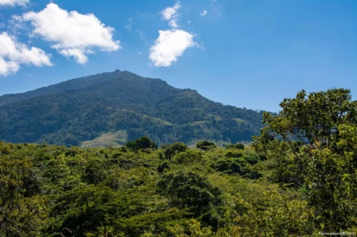 Gorongosa National Park 11