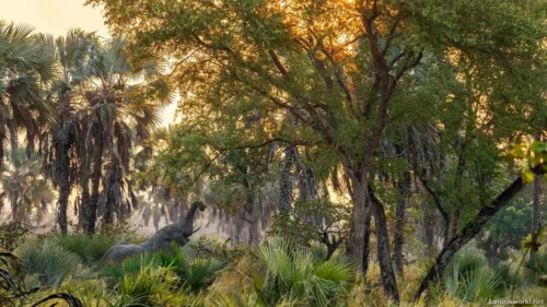 Gorongosa National Park 23