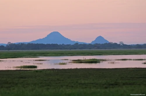 Gorongosa National Park 31