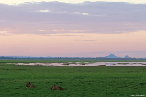 Gorongosa National Park 33