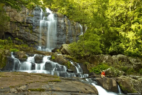 Gorongosa National Park 34