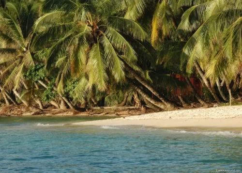 Ile Sainte-Marie 03