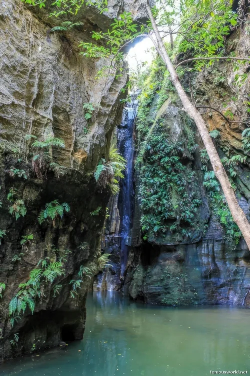 Isalo National Park 44
