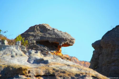 Isalo National Park 47