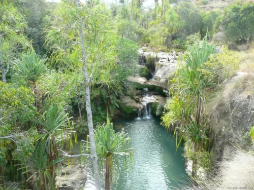 Isalo National Park 52
