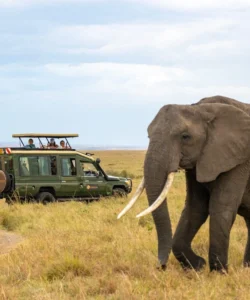 Kafue National Park Kafue National Park