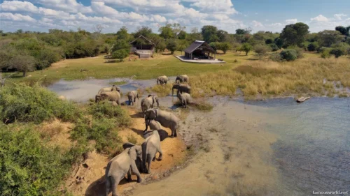 Kafue National Park 09