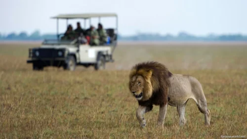 Kafue National Park 10