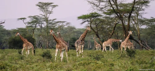 Kafue National Park 12