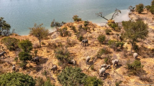 Kafue National Park 19