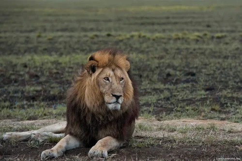 Kafue National Park 20