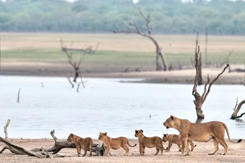 Kafue National Park 22