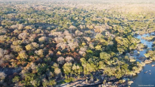 Kafue National Park 23