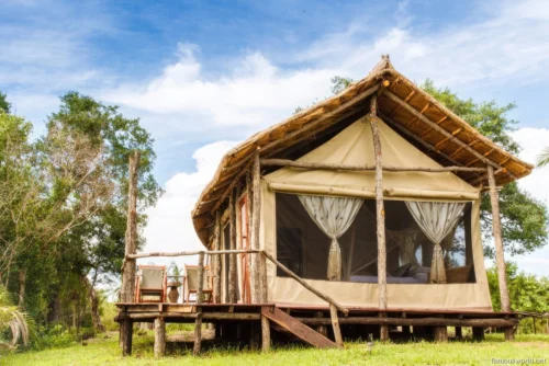 Kafue National Park 24