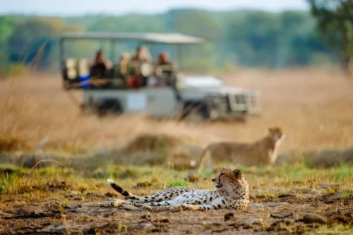 Kafue National Park 25