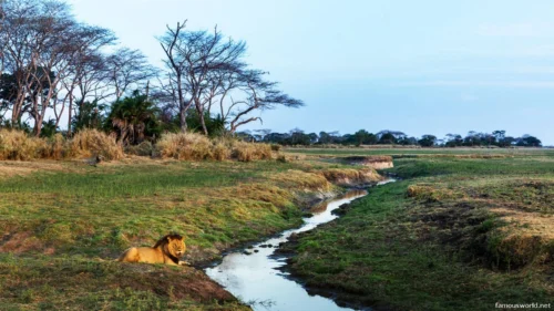 Kafue National Park 28