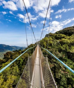 Kibira National Park