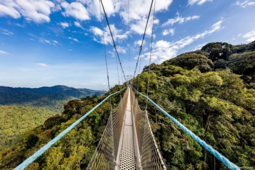 Kibira National Park