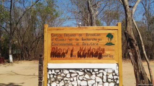 Kirindy Mitea National Park 19