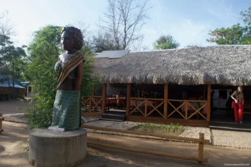 Kirindy Mitea National Park 45