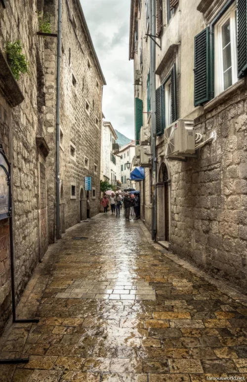 Kotor Old Town 14