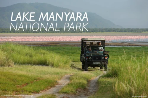 Lake Manyara National Park 08