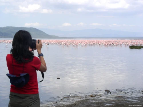 Lake Nakuru National Park 08