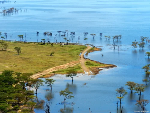 Lake Nakuru National Park 13