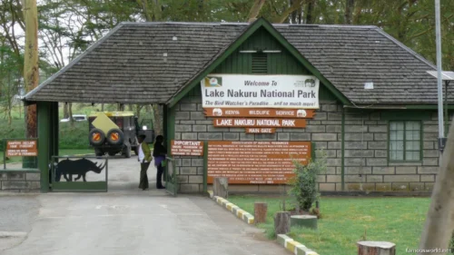 Lake Nakuru National Park 23
