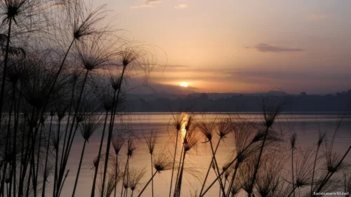 Lake Tana 03