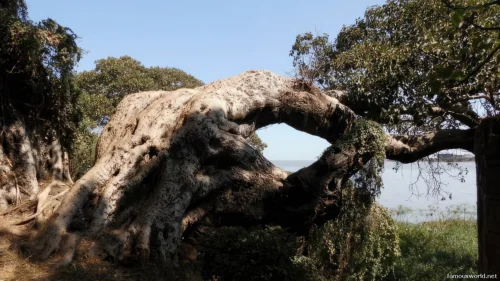 Lake Tana 04
