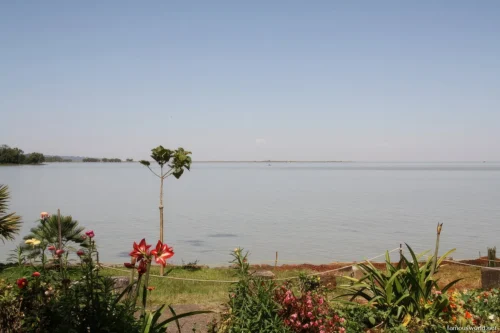 Lake Tana 10