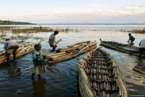 Lake Tana 14