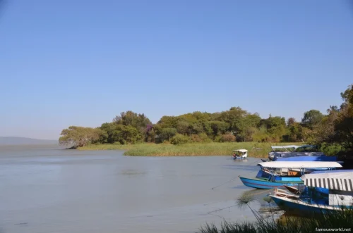 Lake Tana 16