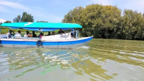 Lake Tana 18