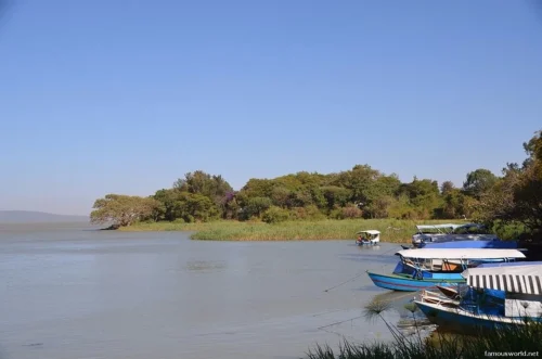 Lake Tana 19