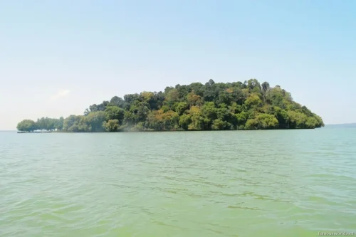 Lake Tana 20