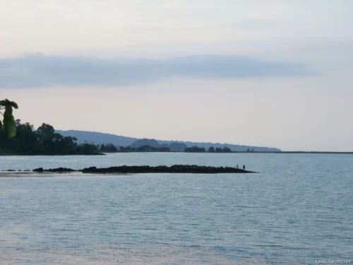 Lake Tana 23