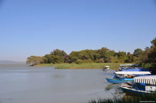 Lake Tana 25