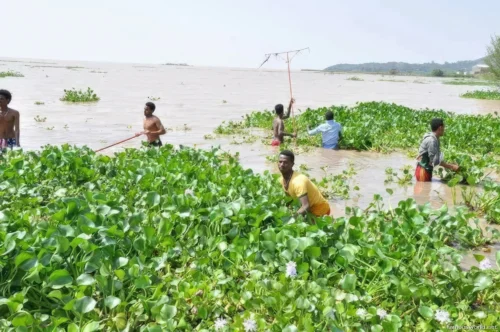Lake Tana 30