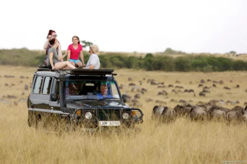 Maasai Mara National Reserve 02