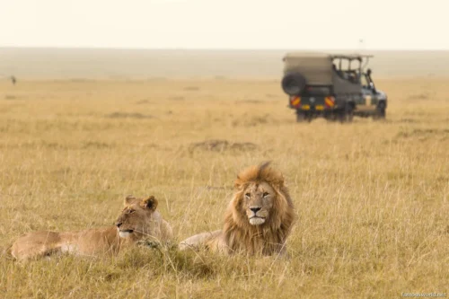 Maasai Mara National Reserve 05