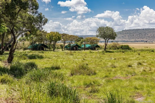 Maasai Mara National Reserve 14