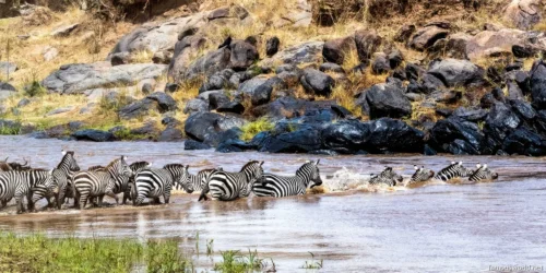 Maasai Mara National Reserve 15
