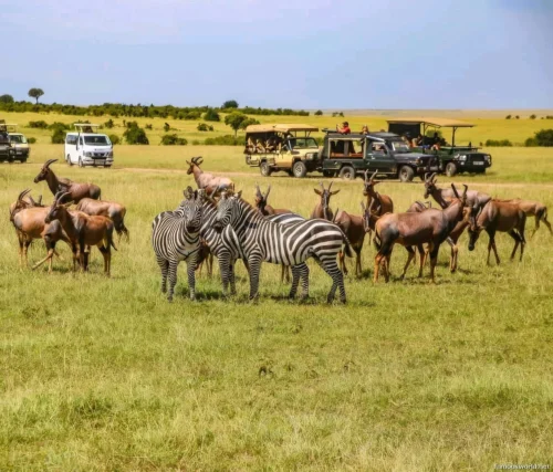 Maasai Mara National Reserve 28