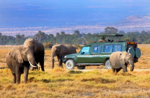 Maasai Mara National Reserve 31