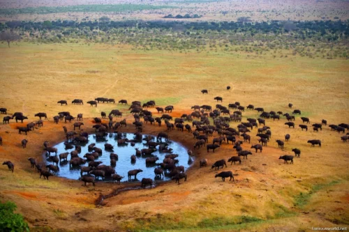 Maasai Mara National Reserve 35