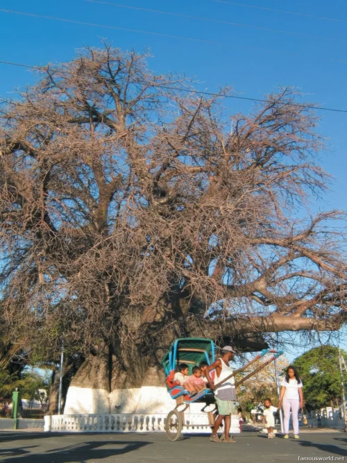 Mahajanga 03