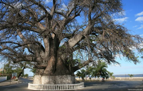 Mahajanga 16